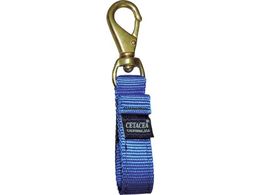 CETACEA xNO[uz_[  IDGH1BLU