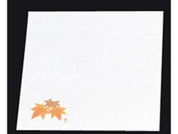 A[ebN Vԓ ~ l 100 NY-17 ݂