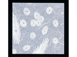 A[ebN NA~ ԕ 200 HG-200 ua