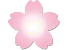 wCR[ [V[ g 500P 007067523