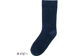 薼Ȍ\bNX(am) lCr[ 24`26cm