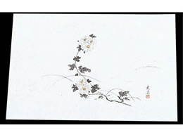 }C lG ݎ 100 M33-119 e 7962600