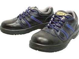 ӂ SV[YÓdZC^Cv 25.0cm JW-753-250