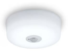 �A�C���X�I�[���} ���^�V�[�����O���C�g �l���Z���T�[ 600lm �����F