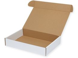 wCR[ t[{bNX F-17 n 10 006205017