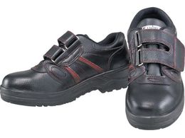 ӂ SV[Y}WbN^Cv 29.0 JW755-290