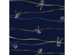 TTK 10[ {u[P S 49-4679