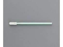 AYsA AYsAN[XeBbN 100{ AP070FCT