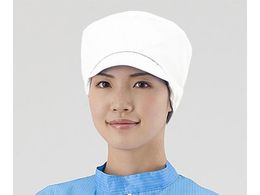 AYsA APNbVLbv L  SCCW