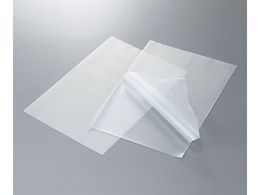 AYsA AYsAESDNA~l[gtB A4 100