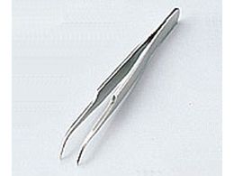 AY W^sZbg ɍ XeX IPT-06