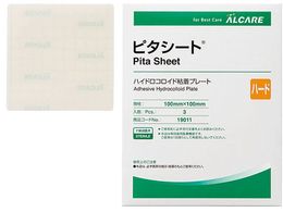 APA s^V[g n[h 3 19011