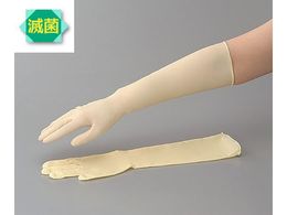 AY ebNXO(X[p[O)ŋۍ L