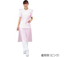 vVFA irX vVFAƖpGv sN 100~10