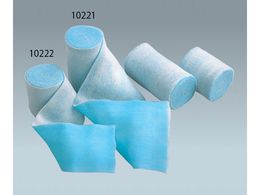 APA IebNX(MvXp)2 12 10221