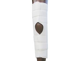 {q j[Xvg(LWʕG֐ߌŒ)O L  NE-203