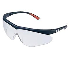 �d��/�ی�߂��˃X�y�N�^�N���`