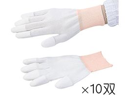 AYsA AYsA PUR[g wR[g SS 10o