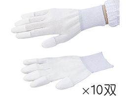 AYsA AYsA PUR[g wR[g L 10o