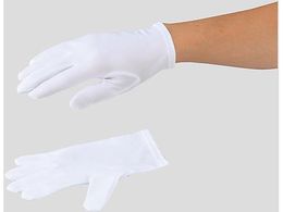 AYsA AYsA ho E[[iC S 12o BNW-N