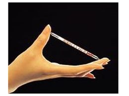 �K�X�e�b�N ���m��(�K�X�e�b�N)�N�����s�N���� 233