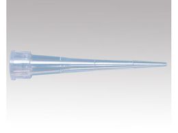 r[G v`i`bv(zEct)10L ŋ oNpbN Xg[g 1000{ BM2010