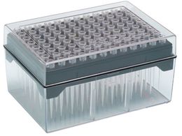 WATSON 10L O`bv VXebN 120-207C