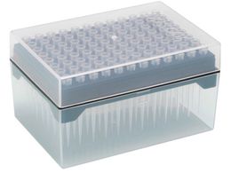 WATSON 10L O`bv VXebN(PP) 120P-207C