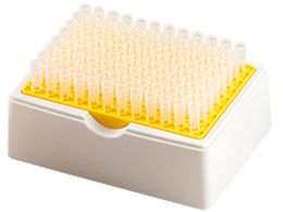 ēcȊw `bv bNt SGR^ 025510-20050