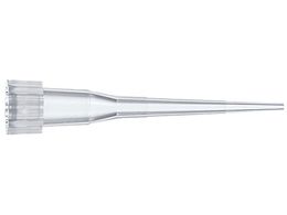 ēcȊw `bv UT^ 025510-210