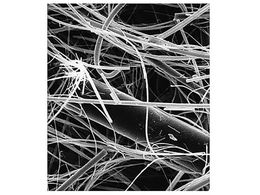 Merck Glass fiber disc w binder AP15 42mm 100 Pk 100PK AP1504200