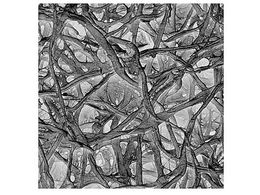 Merck Absorbent pad disc 47mm 100 Pk 100PK AP1004700