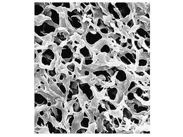 Merck Durapore disc PVDF phobic 0.45m 25mm wh pln 100 Pk 100PK HVHP02500