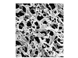 Merck Durapore disc PVDF phobic 0.45m 90mm wh pln 50 Pk 50PK HVHP09050