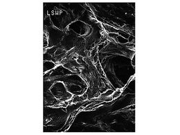 Merck Mitex disc PTFE hydrophobic 5.0m 25mm wh pln 100 Pk 100PK LSWP02500