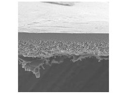 Merck UF Discs PBHK Biomax PES 300kDa 63.5mm 10 Pk 10PK PBMK06210