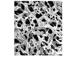 Merck Durapore disc PVDF phobic 0.22m 142mm wh pln 50 Pk 50PK GVHP14250