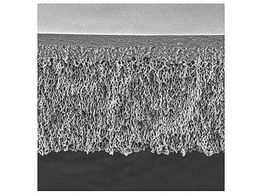 Merck UF Discs PLHK Ultracel RC 100kDa 150mm 5 Pk 5PK PLHK15005