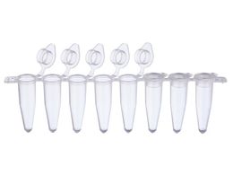 WATSON 0.2mL PCR8A`[u tbgLbvt 137-231C