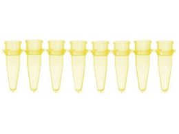 Bio Plas PCR`[u 8A0.2mL  125{ 5010-3