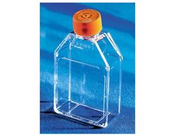 R[jO tXR25cm2JglbNxgLbv 431463