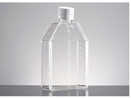Corning mg[gg^Cv tXR 250mL vOV[Lbv XglbN 353133