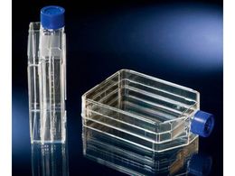 TSNu gvtXR c[|WV 132867