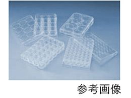 AGCeNmOX V|{p}CNv[g(\ʏȂ)24well 50 1820-024