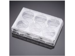 Corning ZJ`[CT[gRpjIv[g 6EF t^t 353502