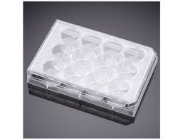 Corning ZJ`[CT[gRpjIv[g 12EF t^t 353503