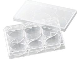 rI rI זE|{v[g VTC-P6