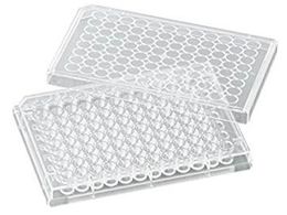 rI rI זE|{v[g VTC-P96