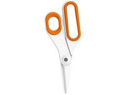 XCX Z~bN [WnT~  10545