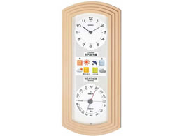 GybNXCیv EFU[pEXEVCv BW-5267